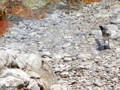 Κάντε κλικ για να δείτε την εικόνα σε πλήρες μέγεθος