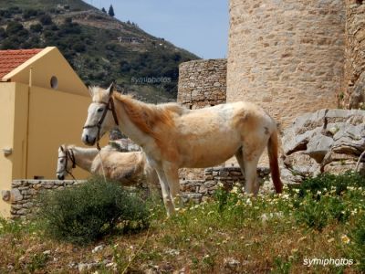 Κάντε κλικ για να δείτε την εικόνα σε πλήρες μέγεθος