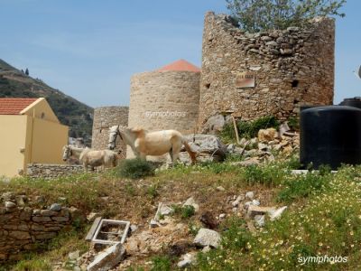 Κάντε κλικ για να δείτε την εικόνα σε πλήρες μέγεθος