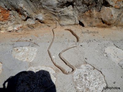 Κάντε κλικ για να δείτε την εικόνα σε πλήρες μέγεθος