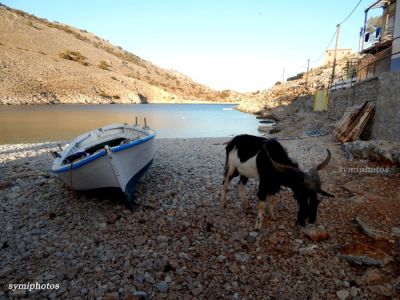 Κάντε κλικ για να δείτε την εικόνα σε πλήρες μέγεθος