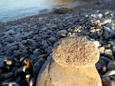 Κάντε κλικ για να δείτε την εικόνα σε πλήρες μέγεθος