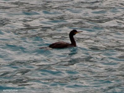 Κάντε κλικ για να δείτε την εικόνα σε πλήρες μέγεθος