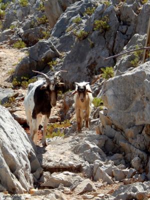 Κάντε κλικ για να δείτε την εικόνα σε πλήρες μέγεθος