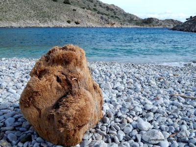 Κάντε κλικ για να δείτε την εικόνα σε πλήρες μέγεθος