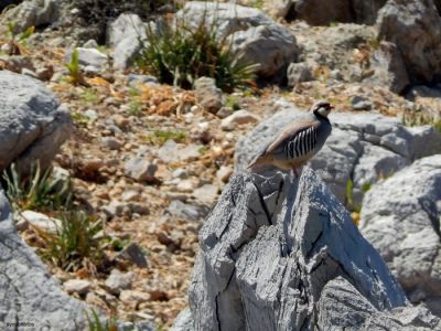 Κάντε κλικ για να δείτε την εικόνα σε πλήρες μέγεθος