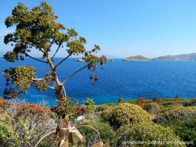 Κάντε κλικ για να δείτε την εικόνα σε πλήρες μέγεθος