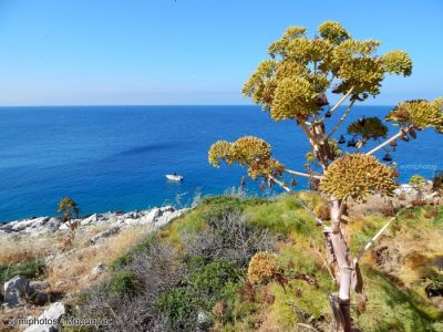 Κάντε κλικ για να δείτε την εικόνα σε πλήρες μέγεθος