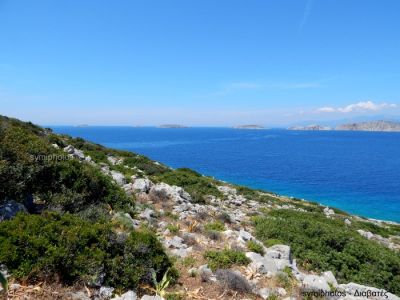 Κάντε κλικ για να δείτε την εικόνα σε πλήρες μέγεθος