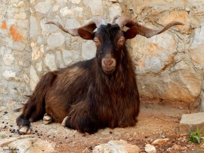 Κάντε κλικ για να δείτε την εικόνα σε πλήρες μέγεθος