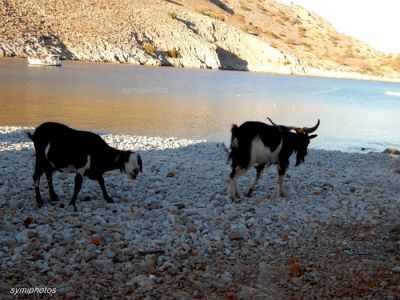 Κάντε κλικ για να δείτε την εικόνα σε πλήρες μέγεθος