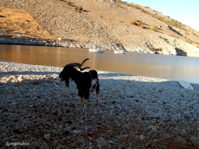 Κάντε κλικ για να δείτε την εικόνα σε πλήρες μέγεθος