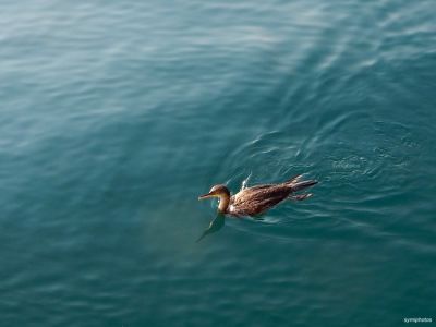 Κάντε κλικ για να δείτε την εικόνα σε πλήρες μέγεθος