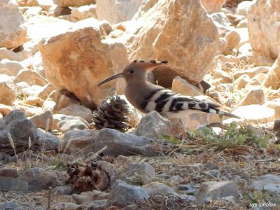 Κάντε κλικ για να δείτε την εικόνα σε πλήρες μέγεθος