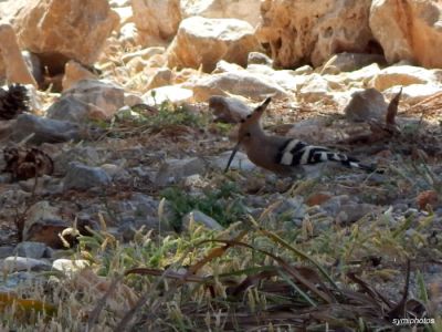 Κάντε κλικ για να δείτε την εικόνα σε πλήρες μέγεθος