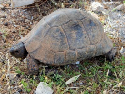 Κάντε κλικ για να δείτε την εικόνα σε πλήρες μέγεθος