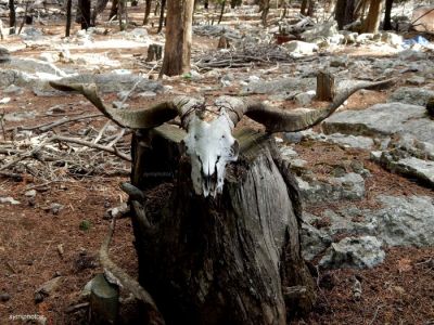 Κάντε κλικ για να δείτε την εικόνα σε πλήρες μέγεθος