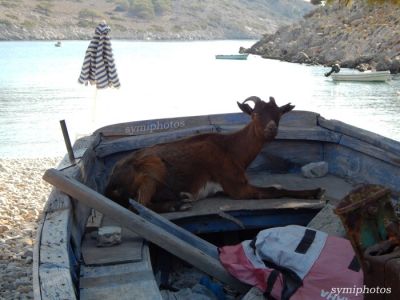 Κάντε κλικ για να δείτε την εικόνα σε πλήρες μέγεθος