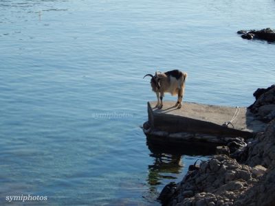 Κάντε κλικ για να δείτε την εικόνα σε πλήρες μέγεθος