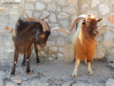 Κάντε κλικ για να δείτε την εικόνα σε πλήρες μέγεθος