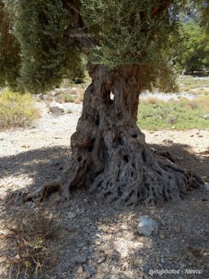 Κάντε κλικ για να δείτε την εικόνα σε πλήρες μέγεθος