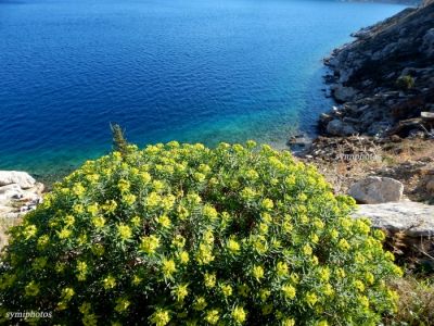 Κάντε κλικ για να δείτε την εικόνα σε πλήρες μέγεθος