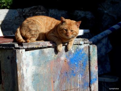 Κάντε κλικ για να δείτε την εικόνα σε πλήρες μέγεθος