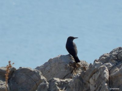 Κάντε κλικ για να δείτε την εικόνα σε πλήρες μέγεθος