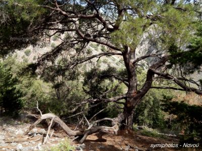 Κάντε κλικ για να δείτε την εικόνα σε πλήρες μέγεθος