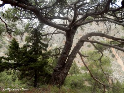 Κάντε κλικ για να δείτε την εικόνα σε πλήρες μέγεθος