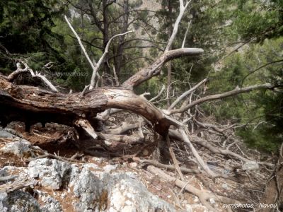 Κάντε κλικ για να δείτε την εικόνα σε πλήρες μέγεθος