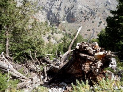 Κάντε κλικ για να δείτε την εικόνα σε πλήρες μέγεθος