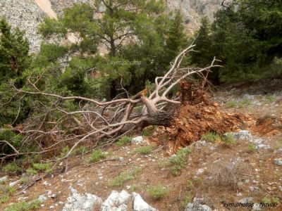 Κάντε κλικ για να δείτε την εικόνα σε πλήρες μέγεθος