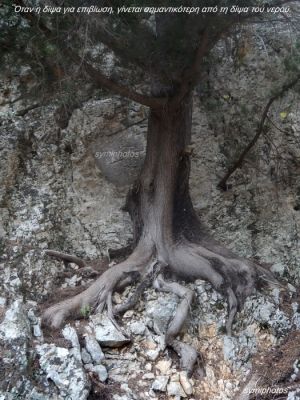 Κάντε κλικ για να δείτε την εικόνα σε πλήρες μέγεθος