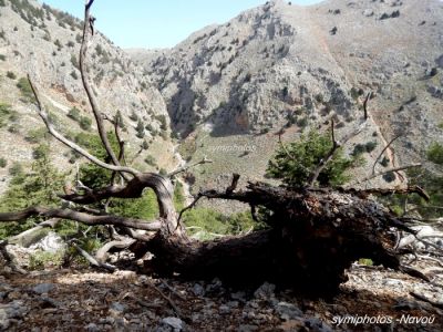 Κάντε κλικ για να δείτε την εικόνα σε πλήρες μέγεθος