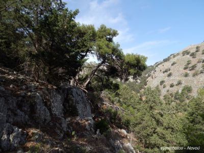 Κάντε κλικ για να δείτε την εικόνα σε πλήρες μέγεθος