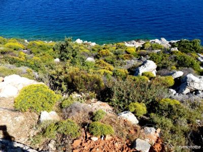 Κάντε κλικ για να δείτε την εικόνα σε πλήρες μέγεθος