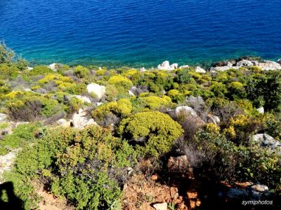 Κάντε κλικ για να δείτε την εικόνα σε πλήρες μέγεθος