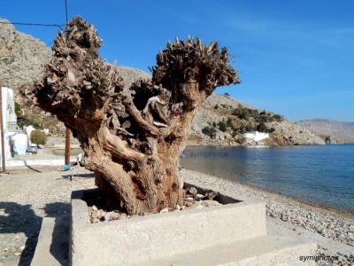 Κάντε κλικ για να δείτε την εικόνα σε πλήρες μέγεθος