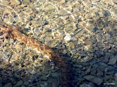 Κάντε κλικ για να δείτε την εικόνα σε πλήρες μέγεθος