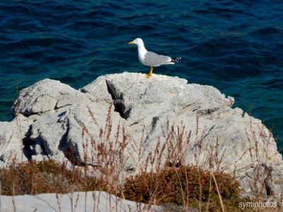 Κάντε κλικ για να δείτε την εικόνα σε πλήρες μέγεθος