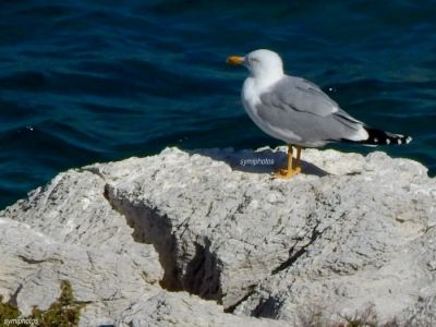 Κάντε κλικ για να δείτε την εικόνα σε πλήρες μέγεθος