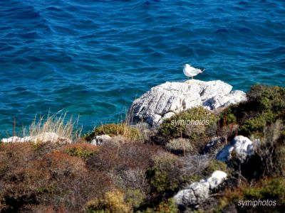 Κάντε κλικ για να δείτε την εικόνα σε πλήρες μέγεθος