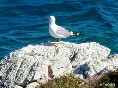 Κάντε κλικ για να δείτε την εικόνα σε πλήρες μέγεθος