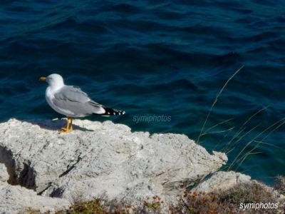 Κάντε κλικ για να δείτε την εικόνα σε πλήρες μέγεθος