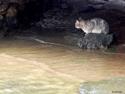 Κάντε κλικ για να δείτε την εικόνα σε πλήρες μέγεθος