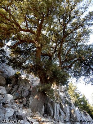 Κάντε κλικ για να δείτε την εικόνα σε πλήρες μέγεθος