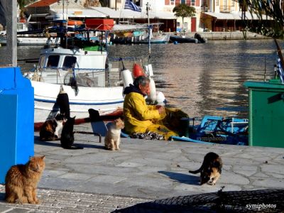 Κάντε κλικ για να δείτε την εικόνα σε πλήρες μέγεθος