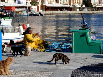 Κάντε κλικ για να δείτε την εικόνα σε πλήρες μέγεθος