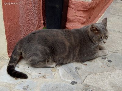 Κάντε κλικ για να δείτε την εικόνα σε πλήρες μέγεθος